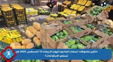 «تغير ملحوظ» أسعار المانجو اليوم الأربعاء 13 أغسطس 2025 هل تستمر الارتفاعات؟